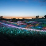 best landscape photographer
