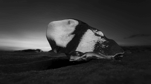 Dark Ice - One of my most iconic shots, was taken using a low-budget Rokinon 14mm F2.8