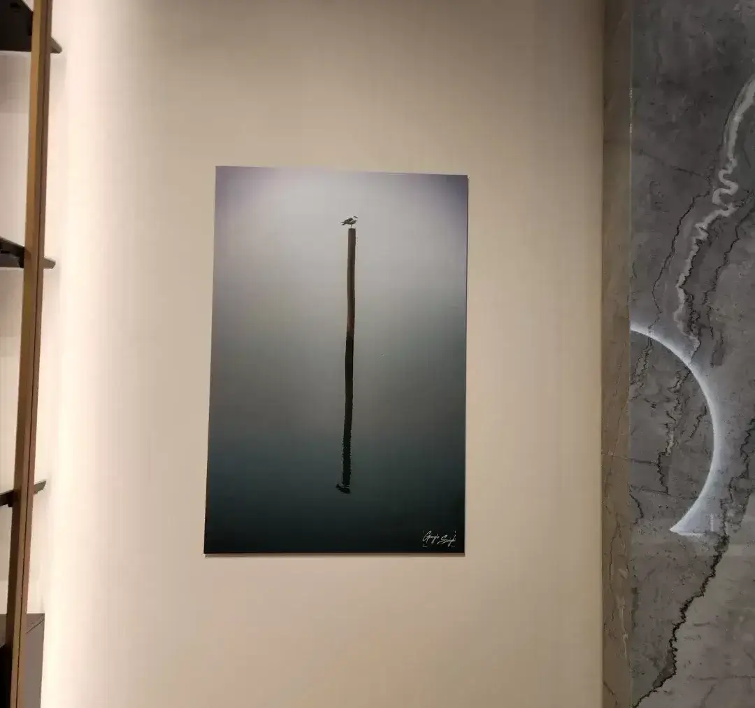 From Lens to Living Space: My NYC Photography Exhibition 1
