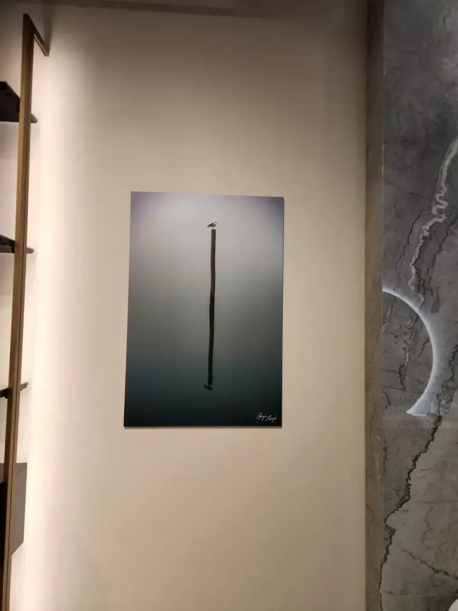From Lens to Living Space: My NYC Photography Exhibition 6