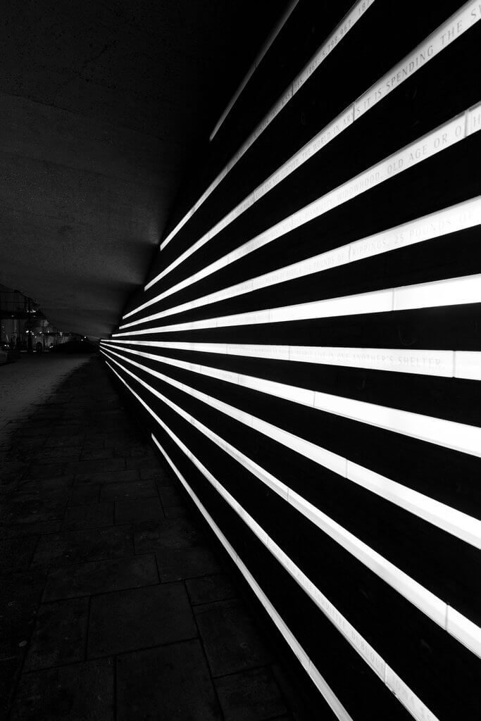 Black & White 7