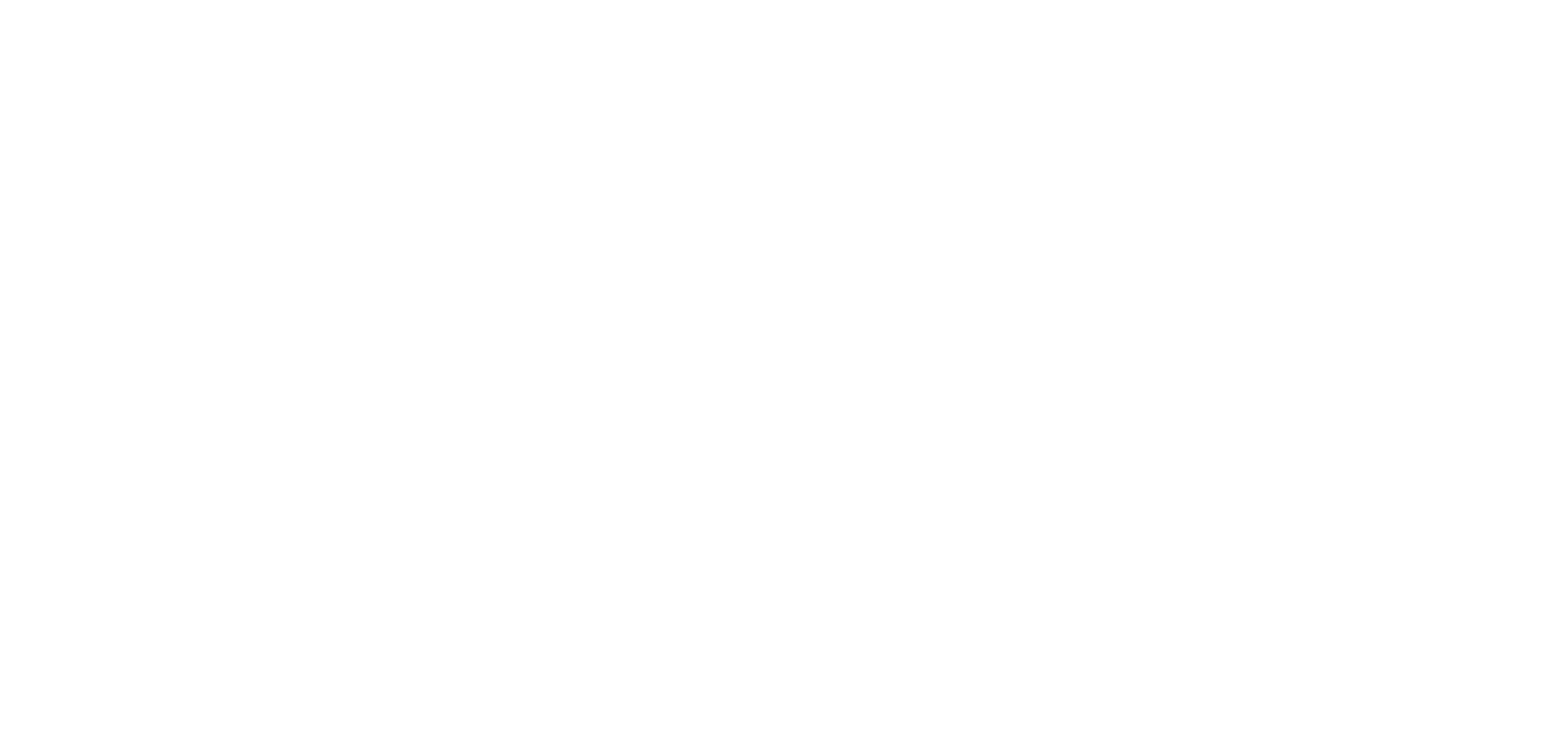 Giorgio Suighi logo